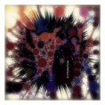 /album/photogallery/nostalgia-abstracta-2800-jpg/